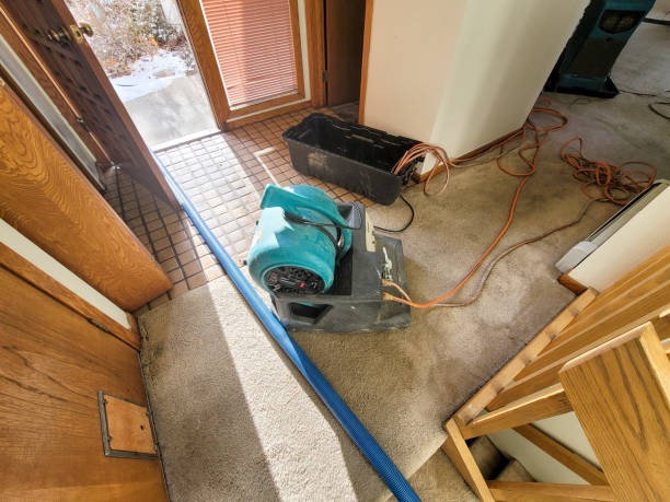 Best 24-hour water damage restoration  in Kidron, OH