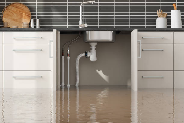  Kidron, OH Water damage restoration Pros