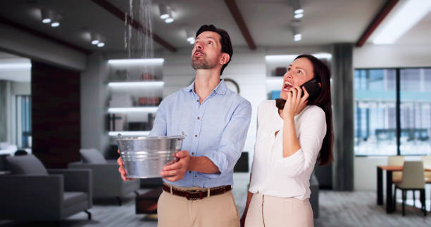 Best Mold removal after water damage  in Kidron, OH